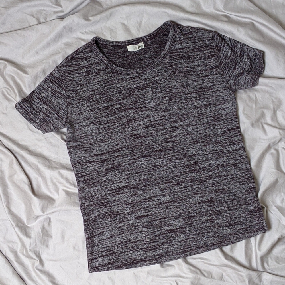 Aritzia Marled Purple T-shirt
